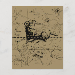 Aries Sterrenbeeld Kaart Hevelius circa 1690