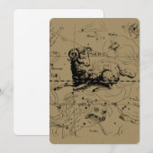 Aries sterrenbeeld kaartgravure door Hevelius (Voorkant / Achterkant)