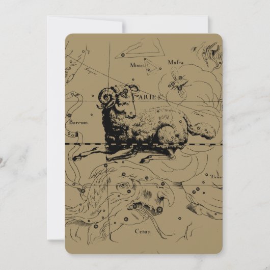 Aries sterrenbeeld kaartgravure door Hevelius (Voorkant)