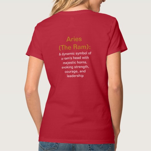 Aries T-Shirt (Achterkant)