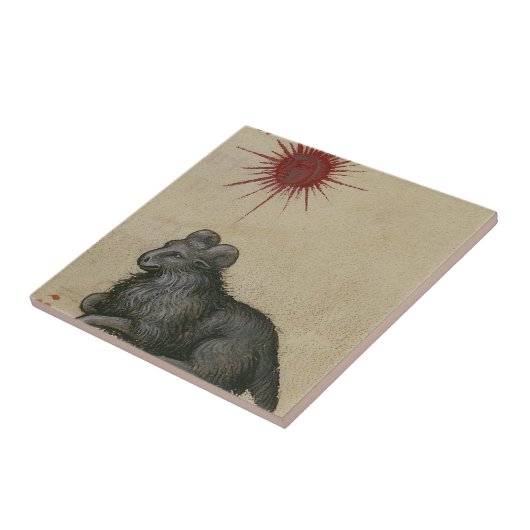 Aries Tegeltje (Zijkant)