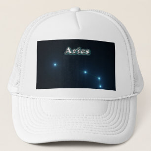 Aries Trucker Pet