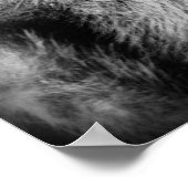 Arikara Indian, Beer Belly, met een baard Poster (Hoek)