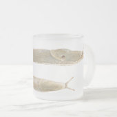 Ariolimax columbianus Waterverf mok (Voorkant rechts)