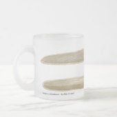 Ariolimax columbianus Waterverf mok (Links)