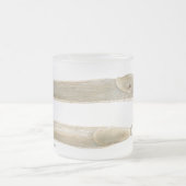 Ariolimax columbianus Waterverf mok (Center)