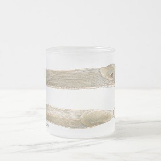 Ariolimax columbianus Waterverf mok (Center)