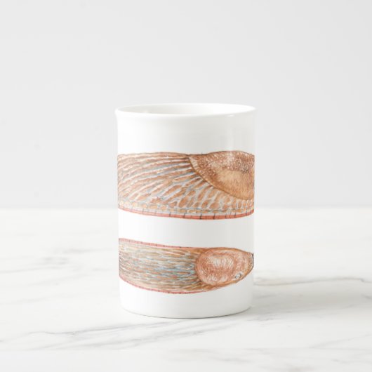 Arion rufus "red" fase - waterverf Bot China mok (Voorkant)