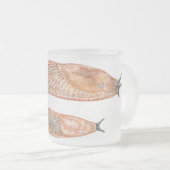 Arion rufus "red" fase - waterverf mok (Voorkant rechts)