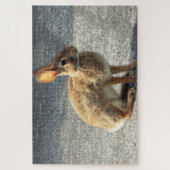 Arisdale Kunsten: Wilde konijn op de weg Legpuzzel (Verticaal)