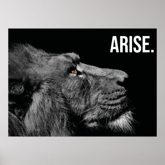 Arise - Lion - Hustle, Gym, Succes Motivatie Poster (Voorkant)