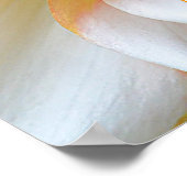 Arise & Shine Poster (Hoek)