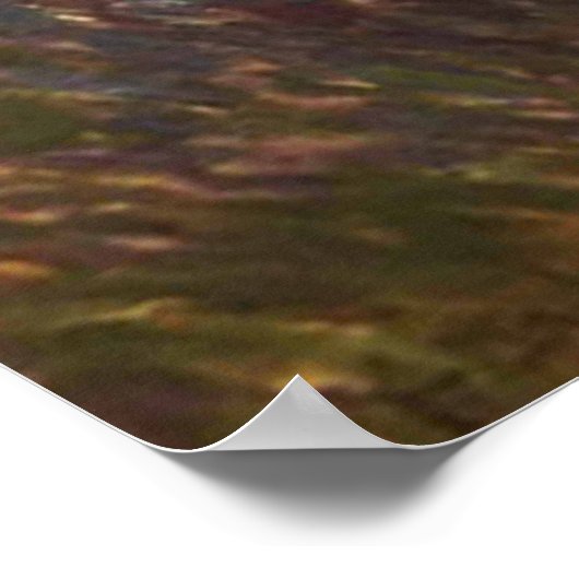 Aristide Maillol - "Vrouw met parasol" Poster (Hoek)