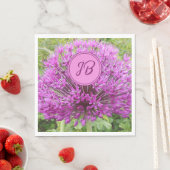 Aristocratic Paars Allium Servet (Insitu)