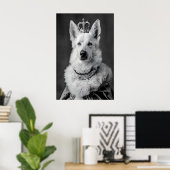 Aristocratische Duitse Herdershond Portret, Grappi Poster (Thuiskantoor)