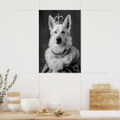 Aristocratische Duitse Herdershond Portret, Grappi Poster (Keuken)