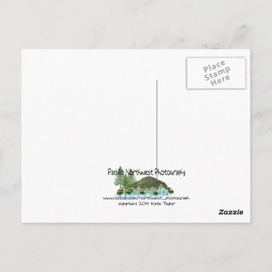 Aristophanes Wine Quote Briefkaart (Achterkant)