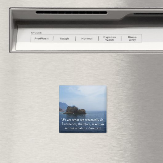 Aristoteles Excellence Quotation Magneet (Insitu (Vaatwasser))