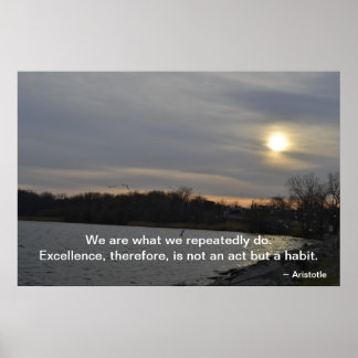 Aristoteles - Excellentie Poster