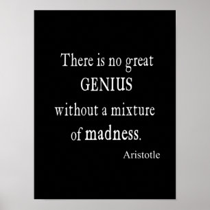  Aristoteles Grote Geniuswaanzin Poster