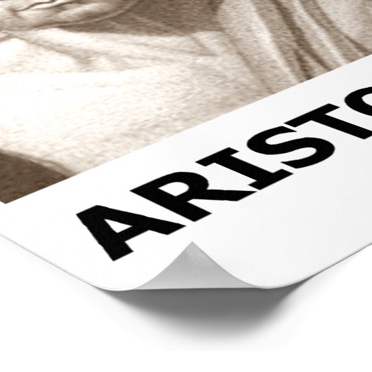 Aristoteles leven in ware zin die denken poster (Hoek)