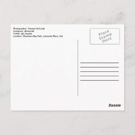 Aristoteles Quote Briefkaart (Achterkant)