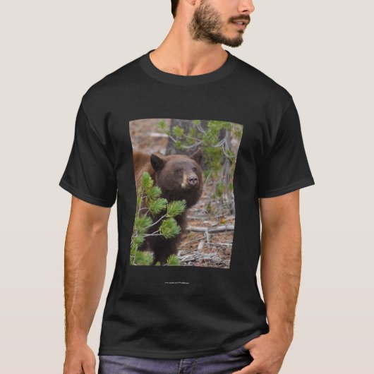 Aristoteles T-shirt (Voorkant)