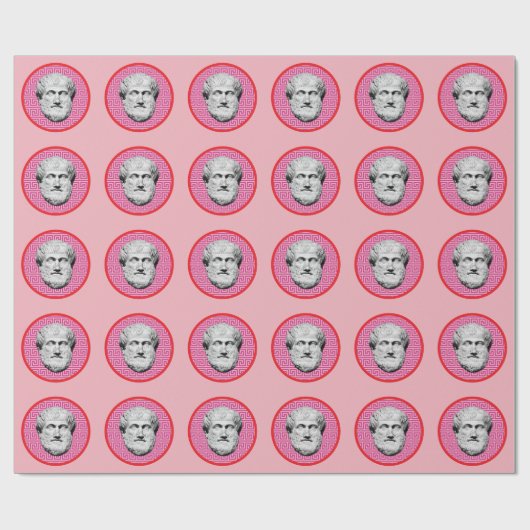 Aristotle Greek Philosopher Cadeaupapier (Vlak)