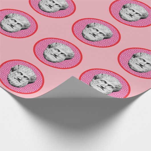 Aristotle Greek Philosopher Cadeaupapier (Hoek)