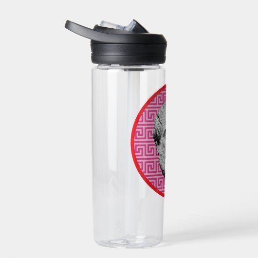 Aristotle Greek Philosopher Waterfles (Rechts)