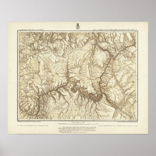 Arizona 3 poster (Voorkant)