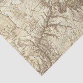 Arizona 3 tissuepapier (Detail)