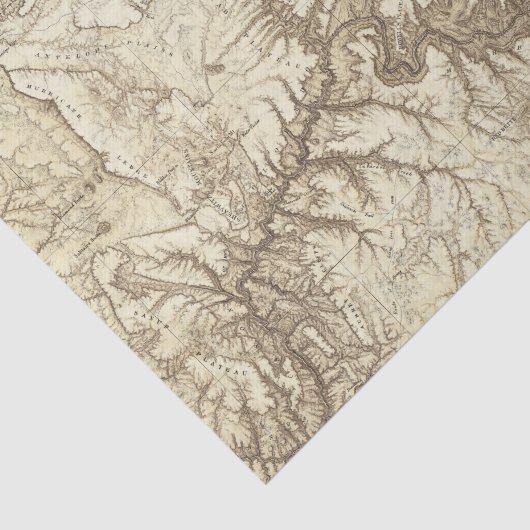 Arizona 3 tissuepapier (Detail)