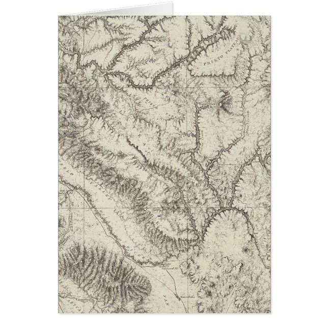 Arizona 4 (Voorkant)