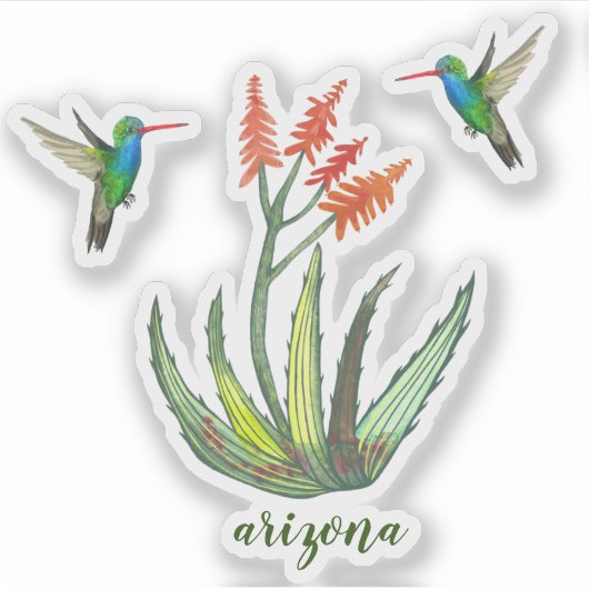 ARIZONA Aloe Vera Succulent Hummingbird Blooms Sticker (Voorkant)