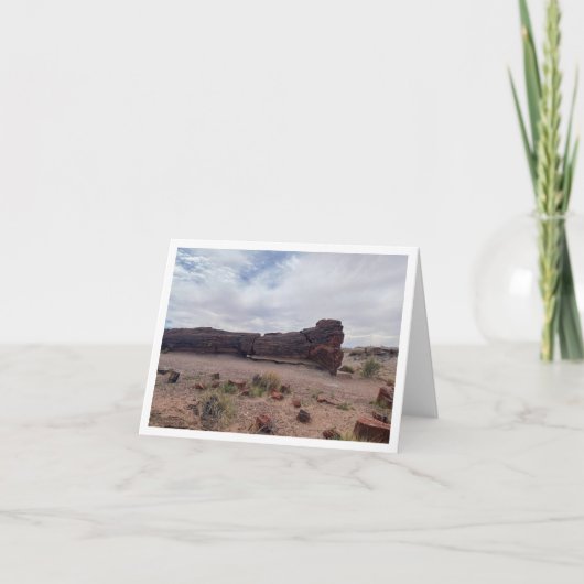 Arizona Ansichtkaart 6 Bedankkaart (Voorkant)