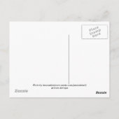 Arizona Antique Briefkaart (Achterkant)