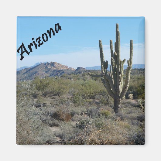 Arizona Apache Trail Cactus Fotomagneet Magneet (Voorkant)