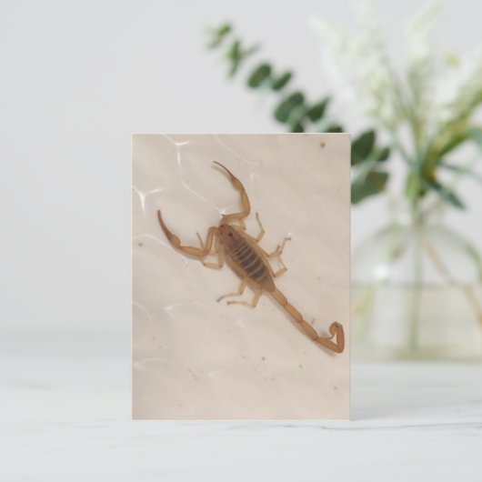 Arizona Bark Scorpion Briefkaart (Staand voorkant)