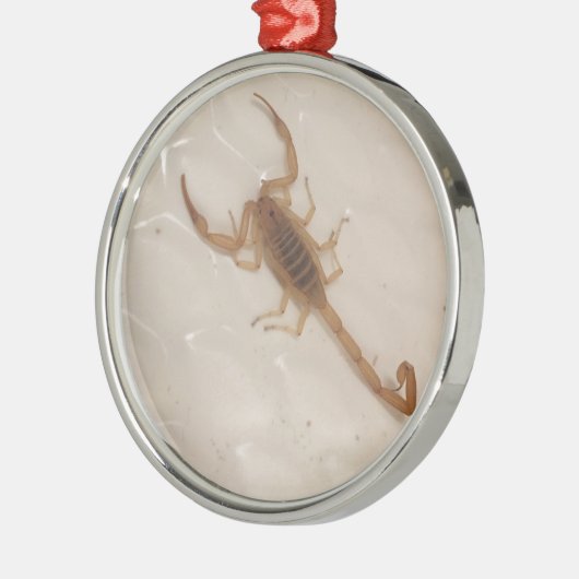 Arizona Bark Scorpion Metalen Ornament (Links)