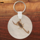 Arizona Bark Scorpion Sleutelhanger (Voorkant)