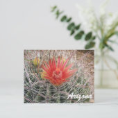 Arizona Barrel Cactus Blossom Briefkaart (Staand voorkant)