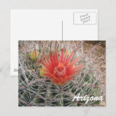Arizona Barrel Cactus Blossom Briefkaart (Voorkant / Achterkant)
