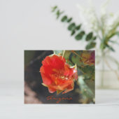 Arizona Briefkaart (Staand voorkant)