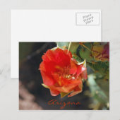 Arizona Briefkaart (Voorkant / Achterkant)