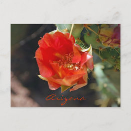 Arizona Briefkaart