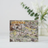 Arizona Briefkaart (Staand voorkant)