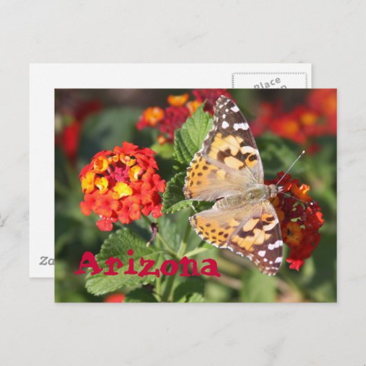 Arizona Briefkaart (Voorkant / Achterkant)