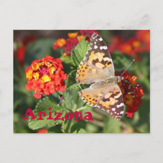 Arizona Briefkaart