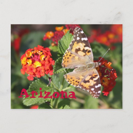 Arizona Briefkaart (Voorkant)